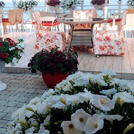 Hotel Shalanda 3*