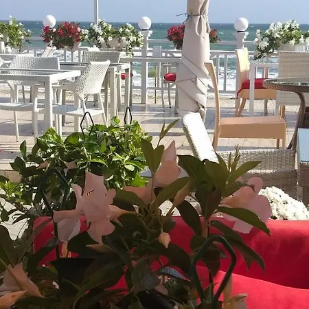 Hotel Shalanda