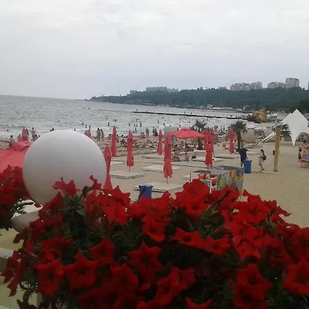 Hotel Shalanda