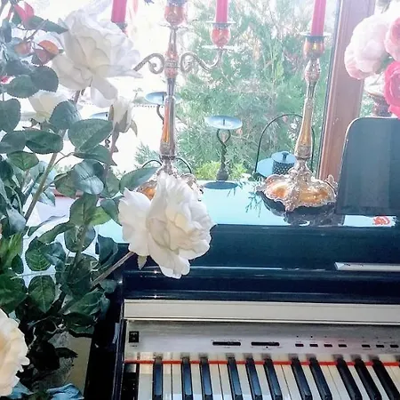 шаланда Готель 3*