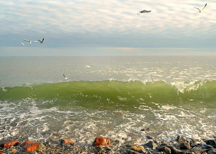 Hotel Shalanda Odessa